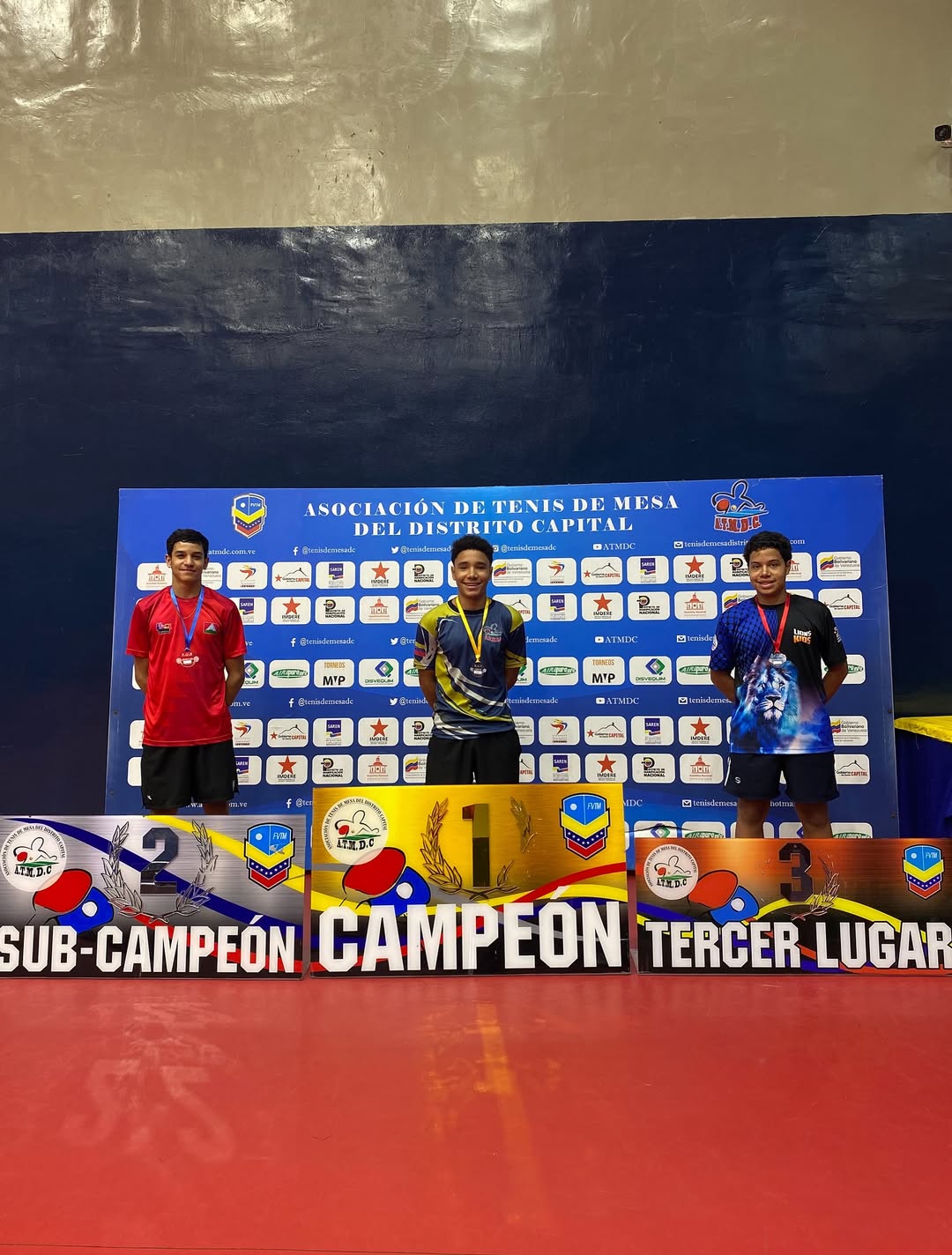 Tenis de mesa activa raquetas estadales