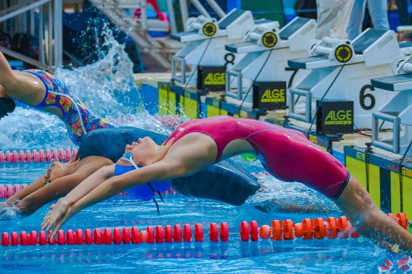 Copa Pasión Acuática 2024: Éxito en el Cierre de Temporada de Natación en Venezuela