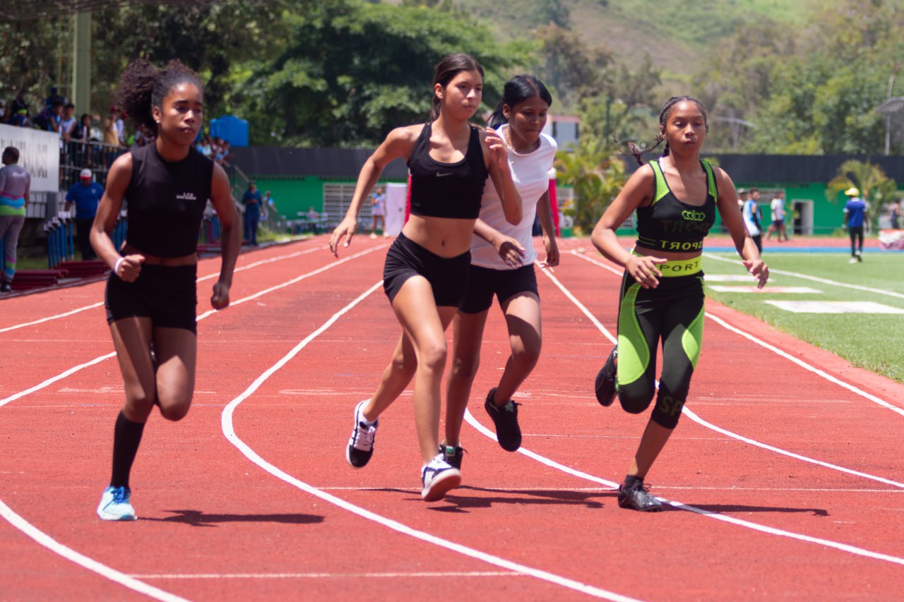 Activada primera fase del Registro Nacional