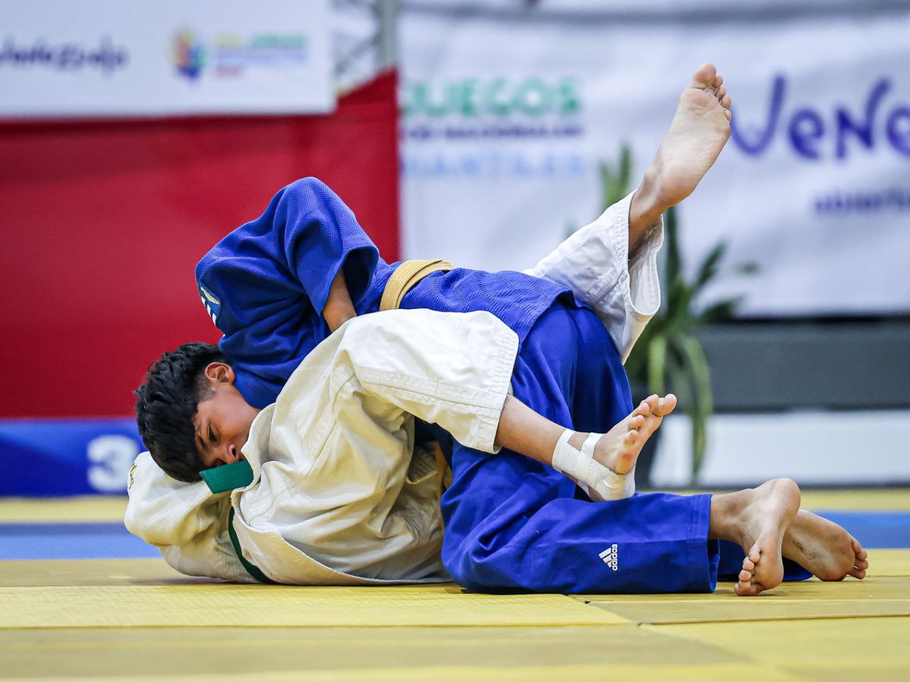 Bolívar y Apure arrasan en el judo