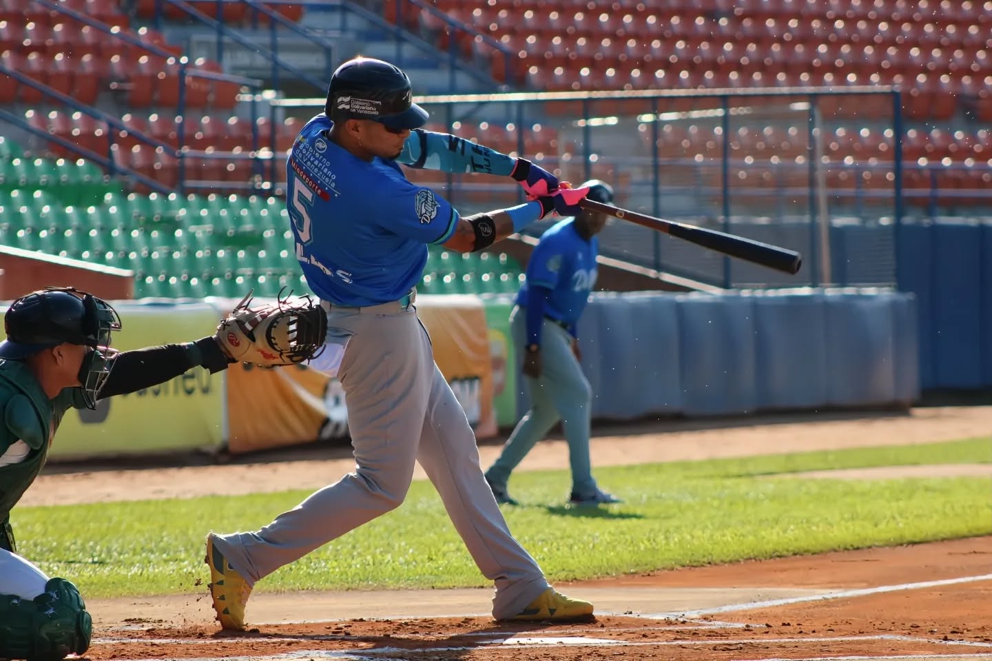 Delfines Liga Mayor