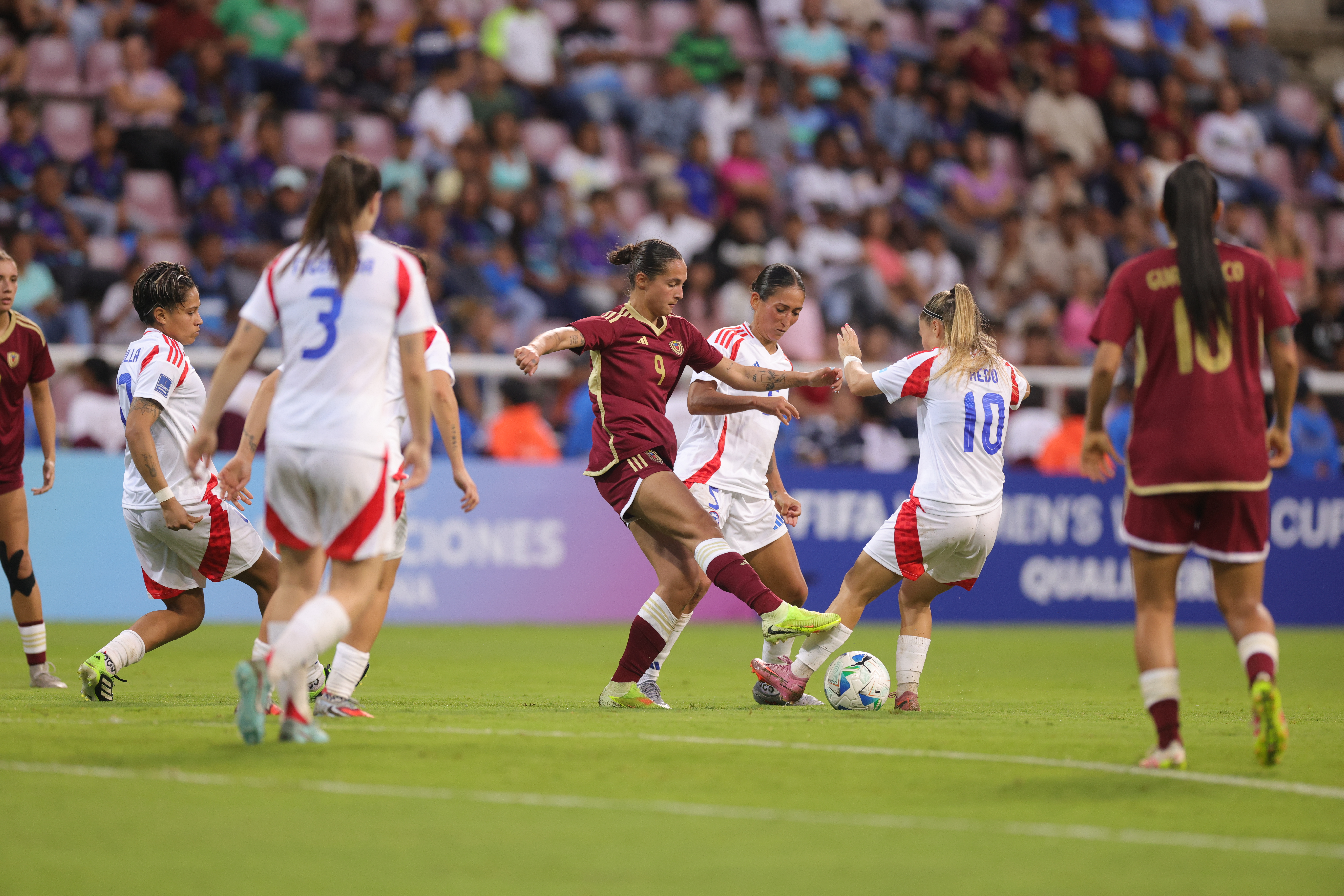 Vinotinto femenina